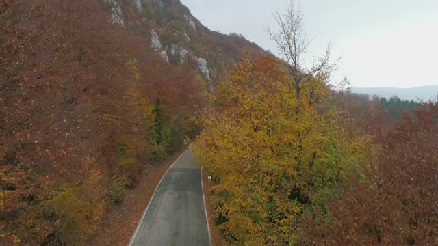 秋天的山路视频素材