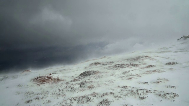 雪灾在山坡上视频素材