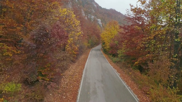 秋天的山路视频素材