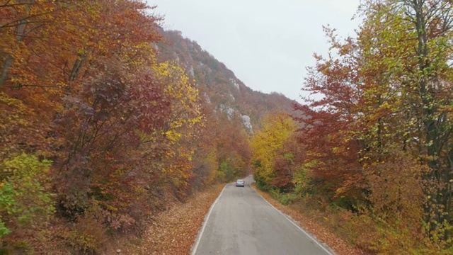 秋天的山路视频素材