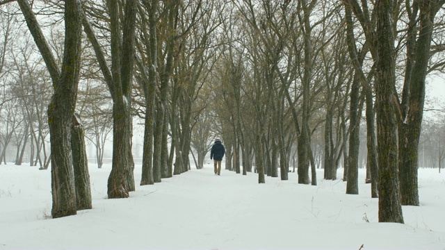 大雪中，人在树林中行走视频素材