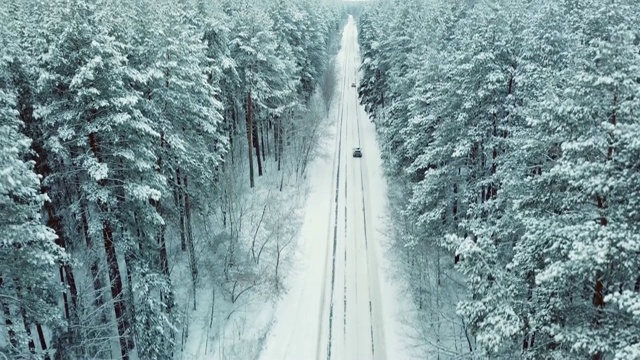 无人机起飞在雪后的乡村公路云杉树林，冬季景观视频素材