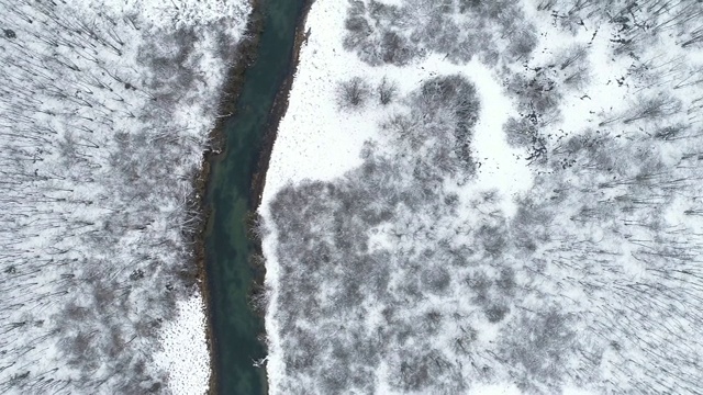 小河和积雪森林视频素材