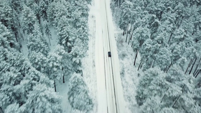 一辆黑色的汽车在松林里的雪地上行驶，鸟瞰图视频素材