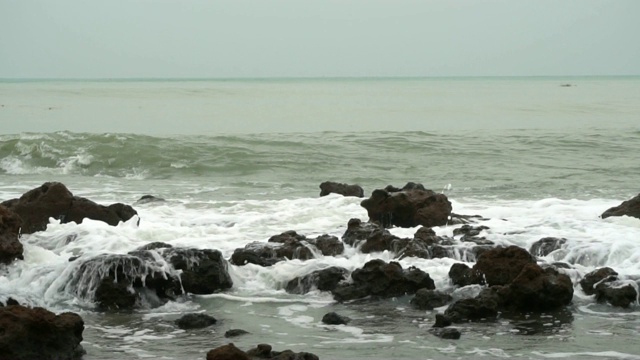 美丽的海景。自然的组成视频素材