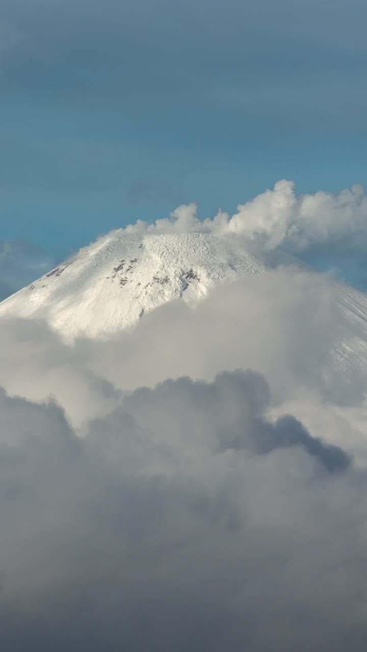 活火山活动:蒸汽、气体羽从火山口涌出。垂直视频视频素材