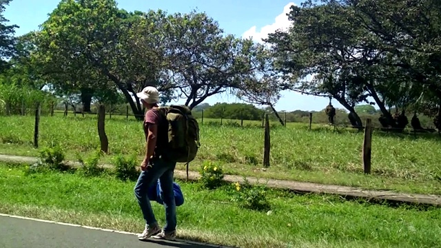 背包旅行者走在美丽的绿色道路上拍摄的业余手机相机镜头视频素材