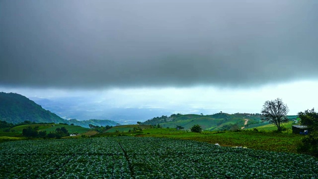 有雾的山地景观和清晨日出的时间流逝。视频素材