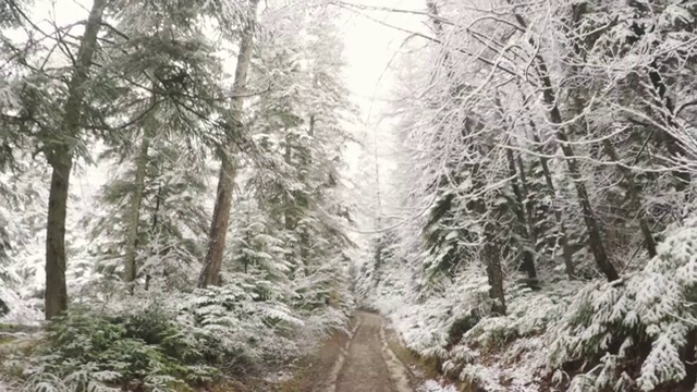 走在雪地里的一条小路上。视频素材