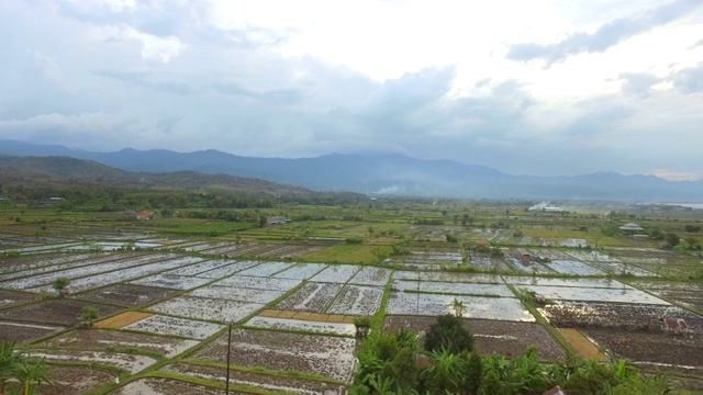 印尼巴厘岛半水田鸟瞰图。视频素材