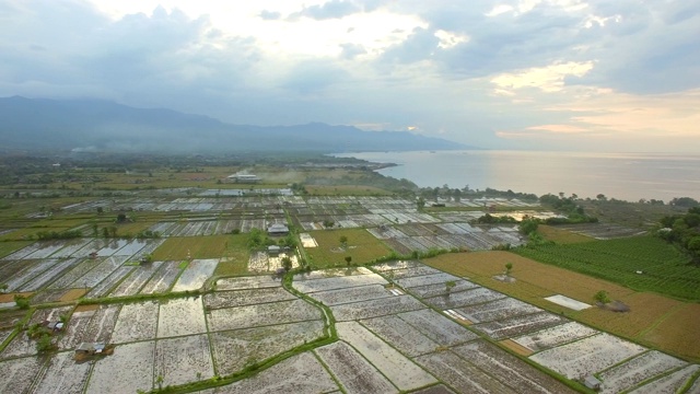 印尼巴厘岛海岸附近稻田的鸟瞰图。视频素材