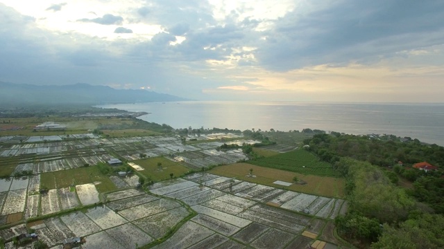 印尼巴厘岛海岸附近稻田的鸟瞰图。视频素材