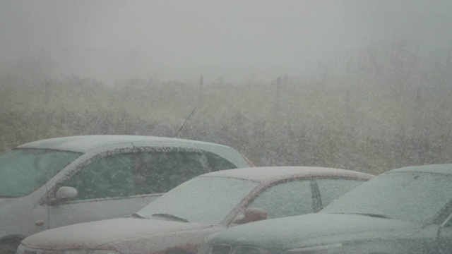 市中心有暴风雪。城市里被雪覆盖的汽车。城市下雪，清晨，窗外景色。雪。的树木,汽车。视频素材