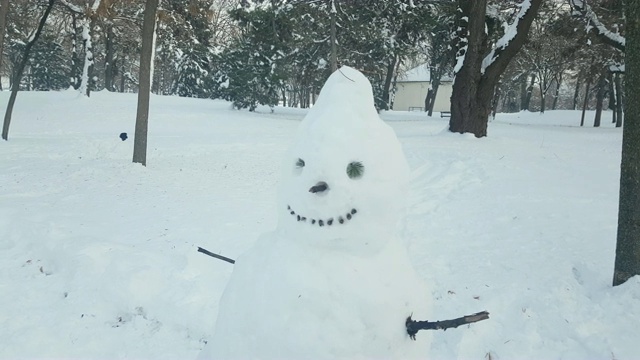 雪人在冬天视频素材