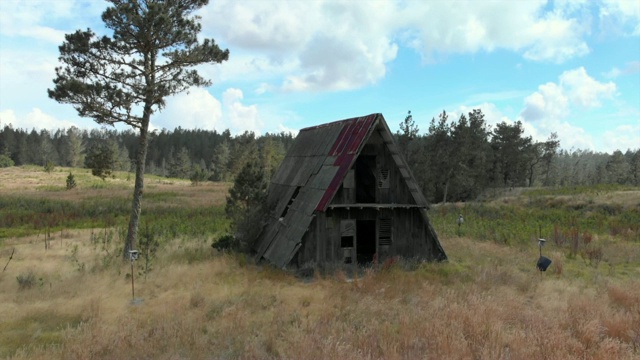 航拍:森林中草地上的废墟小屋视频素材