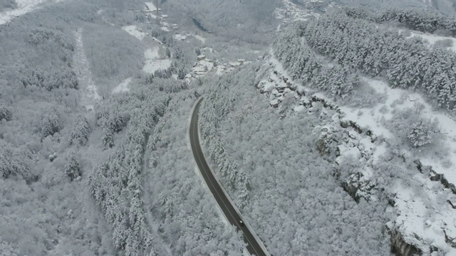 雪林之路视频素材