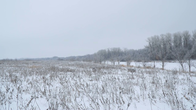 冬天的风景。白雪覆盖着河流和森林视频素材