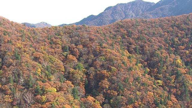 韩国江原道御田山秋景(热门旅游目的地)视频素材