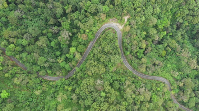 通过森林的公路旅行-空中视点4k视频视频素材