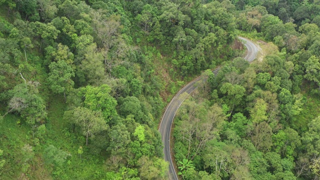 通过森林的公路旅行-空中视点4k视频视频素材