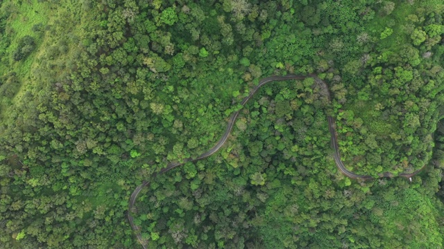 通过森林的公路旅行-空中视点4k视频视频素材