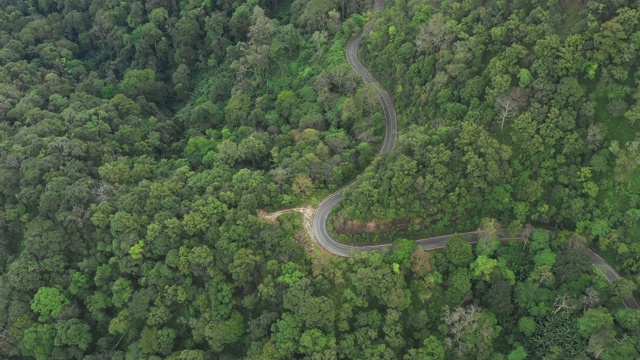 通过森林的公路旅行-空中视点4k视频视频素材