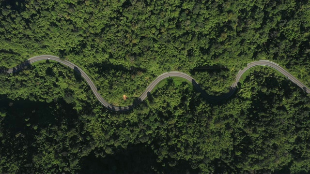 通过森林的公路旅行-空中视点4k视频视频素材