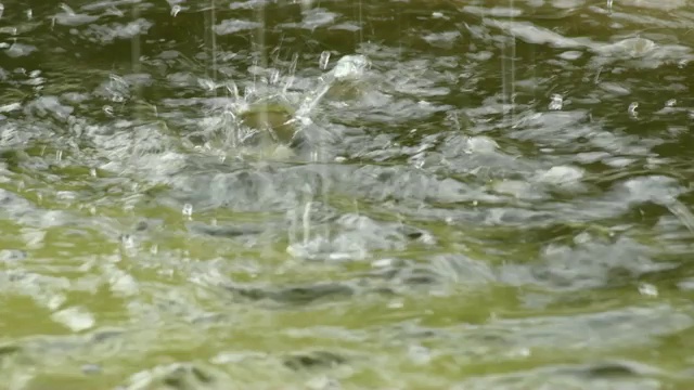 水坑中的水视频素材