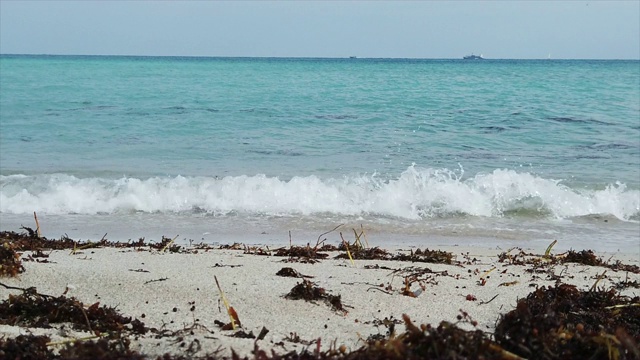 海浪和海滩海景视频素材