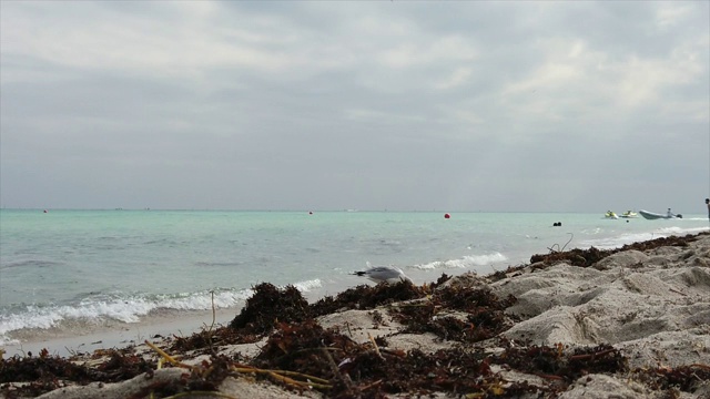 海浪和海滩海景视频素材