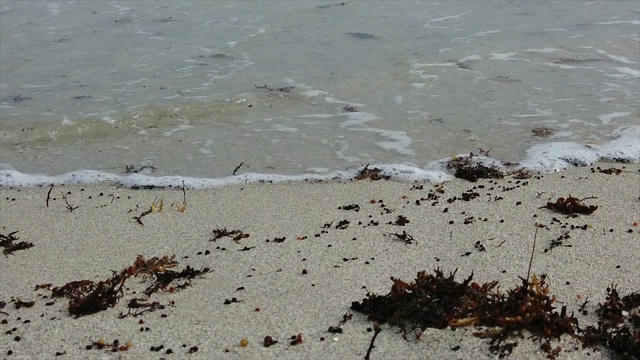 海浪拍打着海滩。视频素材