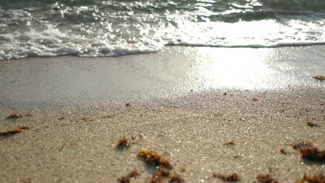 海浪，阳光和海滩的海景视频素材