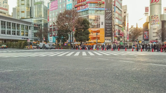 4K T/L WS Panning Timelapse步行街涉谷路口，日本东京。视频素材