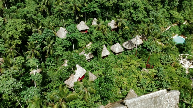 空中盘旋:异国丛林中风景如画的树屋视频素材