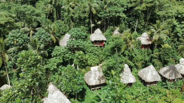 天线:坐在风景如画的树屋阳台栏杆上的年轻人视频素材