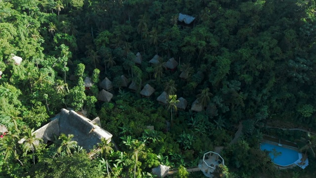 空中向前:迷人的树屋和游泳池在异国丛林视频素材