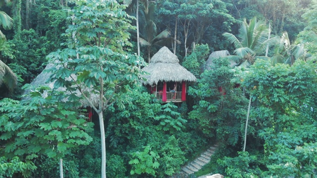 天线:坐在可爱树屋阳台栏杆上的英俊青年视频素材