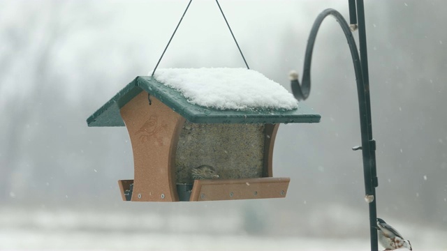 雪视频素材