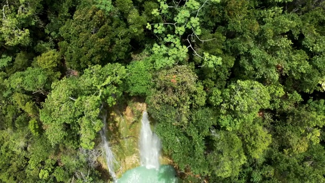 空中向后:在郁郁葱葱的绿色中如画的瀑布下的天然水池视频素材