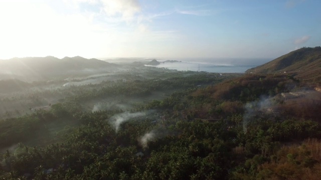 印尼巴厘岛清晨热带森林鸟瞰图。视频素材