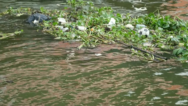 河上漂浮着垃圾和水葫芦视频素材