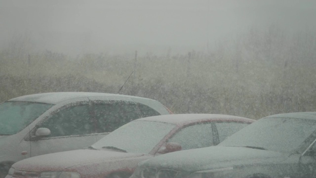 市中心有暴风雪。城市里被雪覆盖的汽车。城市下雪，清晨，窗外景色。雪。的树木,汽车。缓慢的运动。视频素材