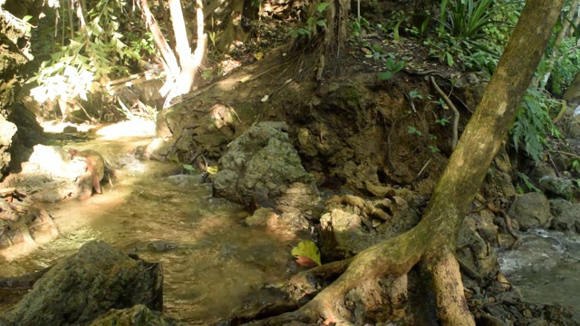 水正从岩石中流过视频素材