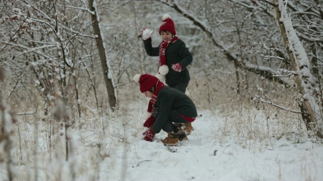 可爱的小男孩和他的哥哥们，在冬天的一天在户外玩雪视频素材