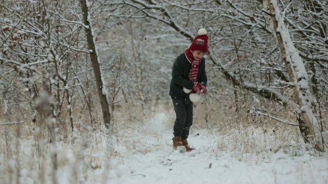 可爱的小男孩和他的哥哥们，在冬天的一天在户外玩雪视频素材