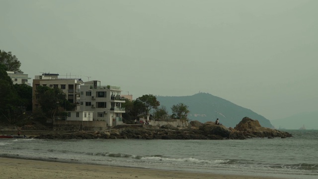 海草图视频素材