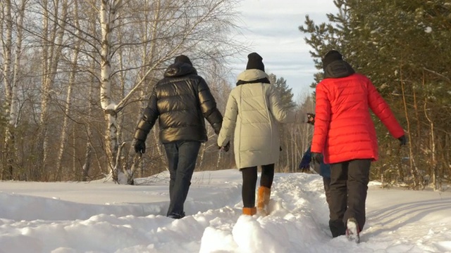 爸爸、儿子、女儿和妈妈在冬天的森林里走在雪道上视频素材