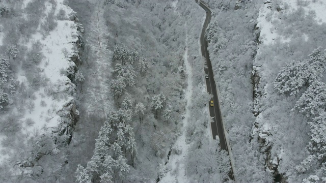 雪林之路视频素材