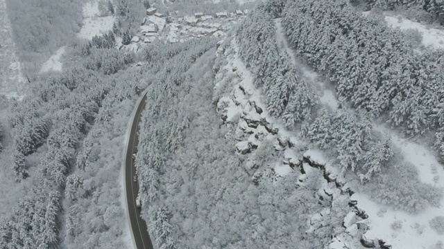 雪林之路视频素材