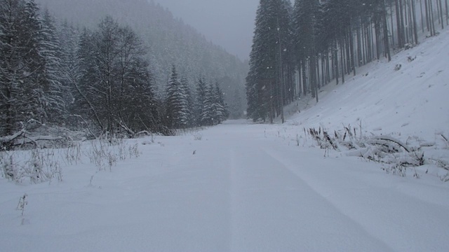 雪落在山林里视频素材